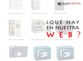 La seguridad en un click, Cajas Fuertes Económicas
